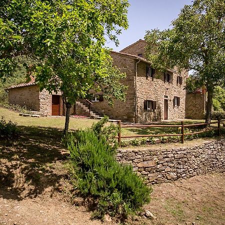 Borgo Al Teto La Vite Apartment Castiglion Fiorentino Luaran gambar