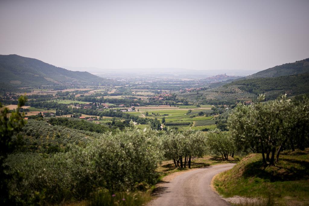 Borgo Al Teto La Vite Apartment Castiglion Fiorentino Luaran gambar