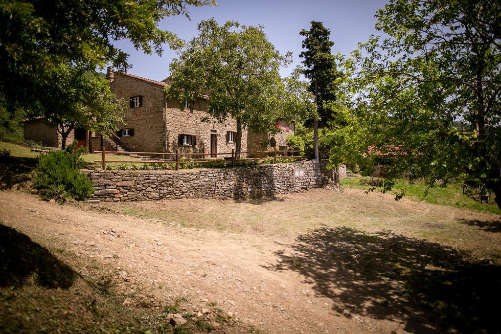 Borgo Al Teto La Vite Apartment Castiglion Fiorentino Luaran gambar