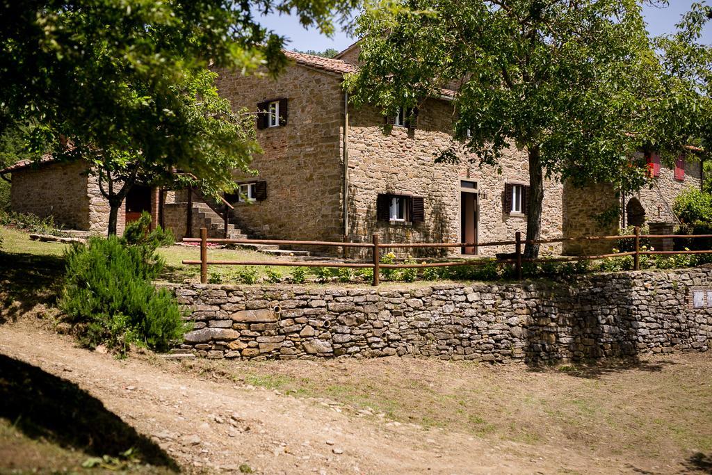 Borgo Al Teto La Vite Apartment Castiglion Fiorentino Luaran gambar