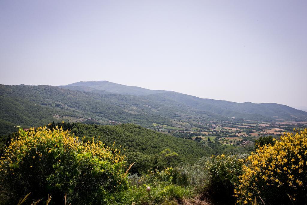 Borgo Al Teto La Vite Apartment Castiglion Fiorentino Luaran gambar
