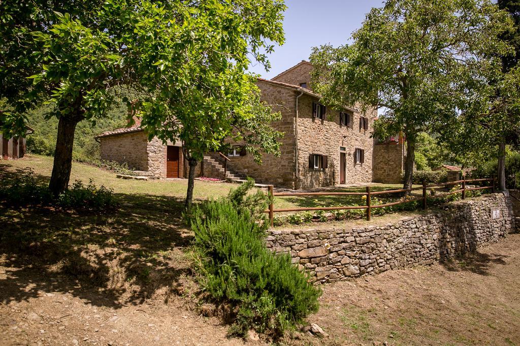 Borgo Al Teto La Vite Apartment Castiglion Fiorentino Luaran gambar