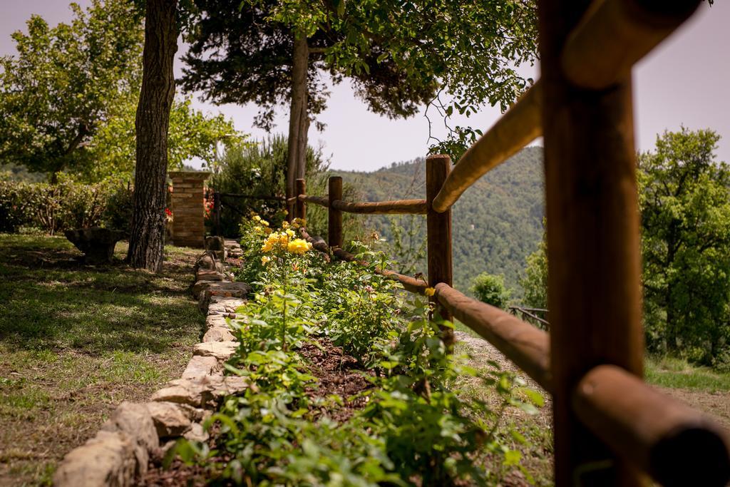 Borgo Al Teto La Vite Apartment Castiglion Fiorentino Luaran gambar