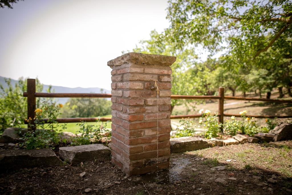 Borgo Al Teto La Vite Apartment Castiglion Fiorentino Luaran gambar